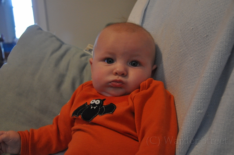 William's Eighteenth Week 02.jpg